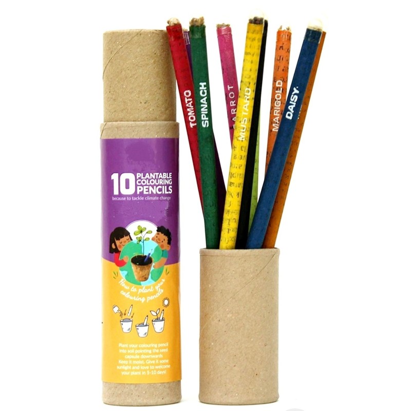 colour-pencil-pack-of-10-20100