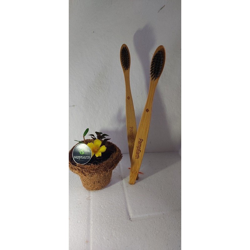 bamboo-toothbrush-pack-of-2-20114-2