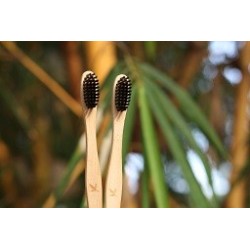 bamboo-toothbrush-pack-of-2-20114-1