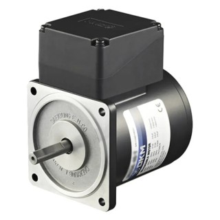 DKM Reversible AC Induction Motor 25 W, 1 Phase, 4-Pole, 220V/240V Steel Body 8IDGE-25G-T