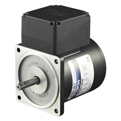 DKM Reversible AC Induction Motor 25 W, 1 Phase, 4-Pole, 220V/240V Steel Body 8IDGE-25G-T