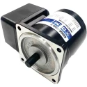 DKM Reversible AC Induction Motor 25 W, 1 Phase, 4-Pole, 220V/240V Steel Body 8IDGE-25G-T