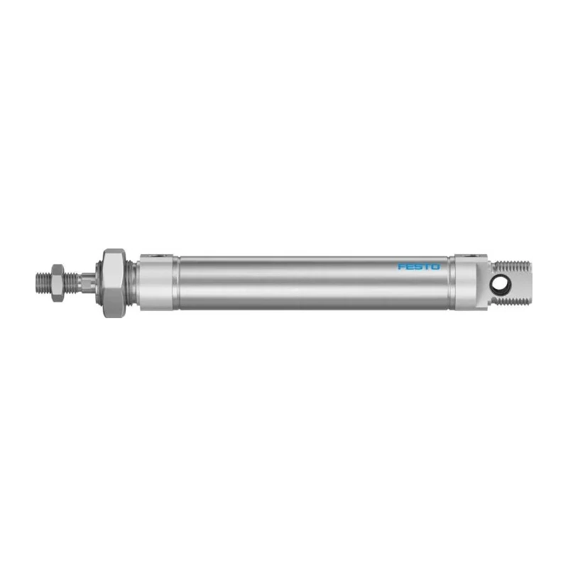 Festo Pneumatic Cylinder Double Acting, 25 mm Bore, 100 mm Stroke, Stainless Steel DSNU-25-100-P-A