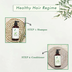 refreshing-tea-tree-shampoo-300ml-20302-6