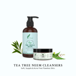 tea-tree-and-neem-cleansers-combo-20337