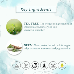 tea-tree-and-neem-cleansers-combo-20337-3