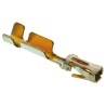 TE Connectivity AMPMODU MOD IV Female Crimp Terminal, Gold Plating, Phosphor Bronze, 4.4A, 26 - 20 AWG, 12.3mm 141603-4