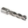 RS PRO HSS Magnetic Drill Bit, 14 mm Cutter Diameter, 50 mm Cutting Depth, Straight Flute, Bright Finish 123-8494