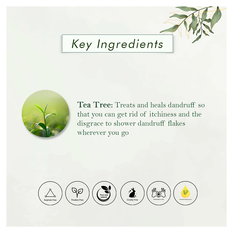 tea-tree-haircare-combo-20426-4