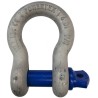 RS PRO Bow Shackle Alloy Steel, Screw Pin, 12t Safe Working Load, Hot Dip Galvanised 124-4821