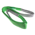 RS PRO 1 m Green Polyester Duplex Lifting Sling Webbing, 2 t, 60 mm, 124-4879