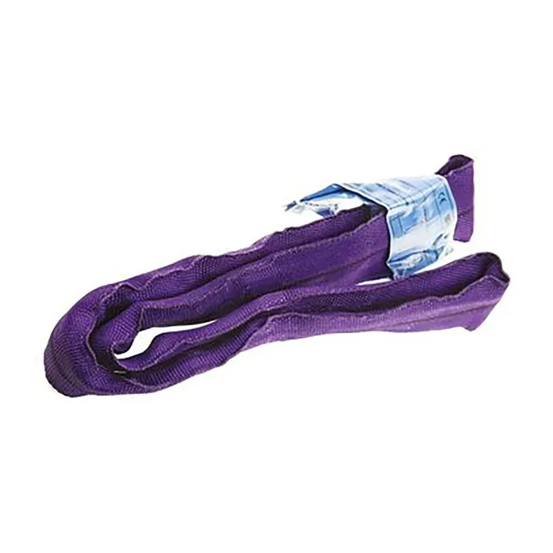 RS PRO Polyester Round Lifting Sling, Endless, 5 m, 1 t, Purple 124-4859