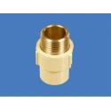 cpvc-round-brass-m-t-a-fittings
