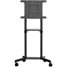 StarTech.com Portable TV Stand with Extension Arm, Max 70 in Screen, 70 kg Load, VESA Compatibility MBLTVSTNDEC