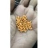 PBT Orange Granules 25 Kgs