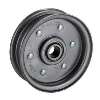 INA Steel Pulley Bore Diameter 16mm Overall Diameter 117mm RSRB16-117-L0