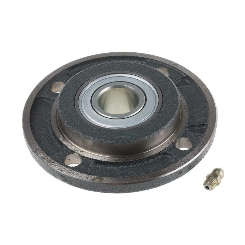 INA Bearing Unit Cast Iron Housing 20 mm Inside Diameter PME20-XL-N