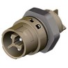 Wieland RST MINI Series Panel Mount Mini Connector Male Screw 3-Pole 16A 120V IP69 IP68 IP66 46.032.5050.4