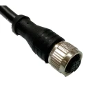 RS PRO Female 12 Way Straight to Unterminated Free End Sensor Actuator Cable, 5 m 144-7664