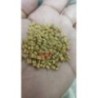PPCP Golden Granules 25Kgs