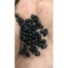 Black TPU Granules 25 Kgs standard granular