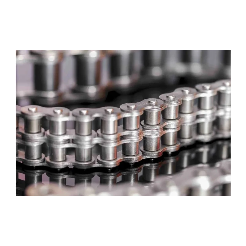 Sedis Stainless Steel Alpha Premium 08B-2 Roller Chain, ISO 606 (DIN 8187), 5 m Length, 30.6 mm Pin Length 207NIN9B01A00
