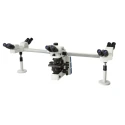 conxport-multi-viewing-pentahead-microscope-24770
