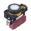 Idec CW Series Illuminated Momentary Panel Push Button Switch 22 mm Cutout SPST White LED IP65 CW1L-M1E01Q4PW