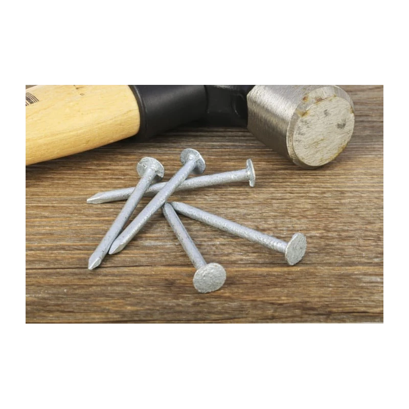 RS PRO Galvanised Clout Nail 50 mm Length 3.35 mm Diameter 500 g Bag 170-1641