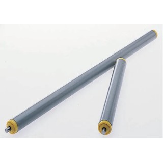Interroll Plastic Round Conveyor Roller Spring Loaded 20 mm Dia. x 100 mm L, Stainless Steel 5 N, 6 mm 11AZS20D03 - 400