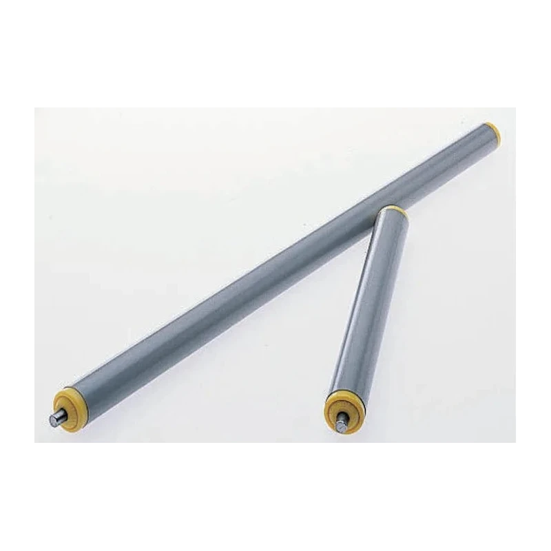 Interroll Plastic Round Conveyor Roller Spring Loaded 20 mm Dia. x 100 mm L, Stainless Steel 5 N, 6 mm 11AZS20D03 - 400