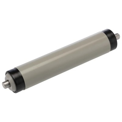 Interroll Plastic Round Conveyor Roller Spring Loaded 20 mm Diameter x 100 mm Length, Stainless Steel 90 N 11AZS20D03 - 100