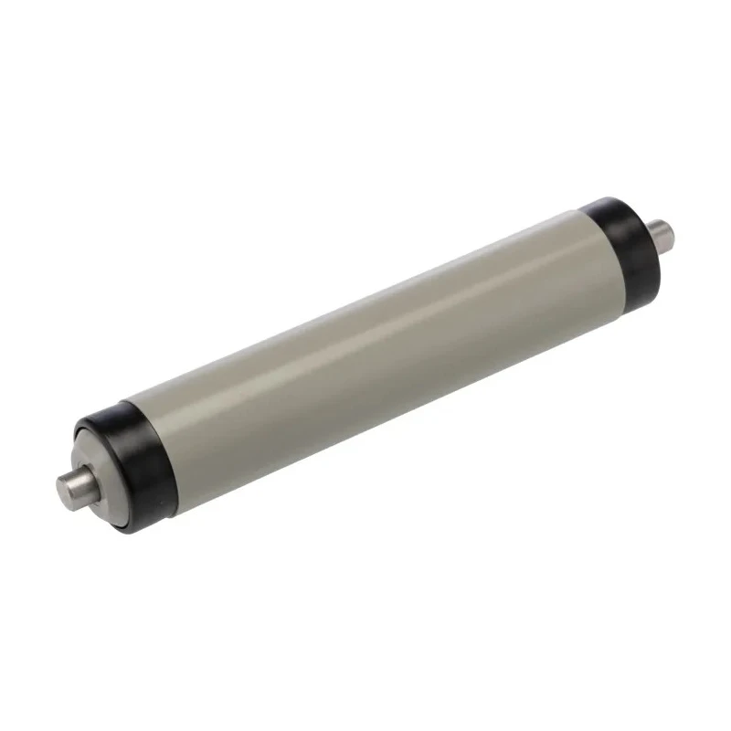 Interroll Plastic Round Conveyor Roller Spring Loaded 20 mm Diameter x 100 mm Length, Stainless Steel 90 N 11AZS20D03 - 100
