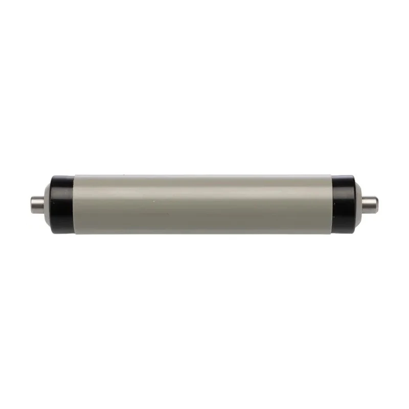 Interroll Plastic Round Conveyor Roller Spring Loaded 20 mm Diameter x 100 mm Length, Stainless Steel 90 N 11AZS20D03 - 100