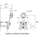Honeywell Technologies GLC Series Roller Lever Limit Switch 1 NC/1 NO IP66 Die Cast Zinc Housing 240V AC 6A 
