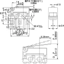 Panasonic Hinge Lever Micro Switch, Solder Terminal, 2A, 125 V ac, 30 V dc, SPDT, IP67 ABS161240