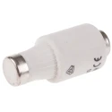 Mersen Diazed Bottle Fuse 25A 500V D2 Size with E27 Thread X212540 / DIIGG50V25