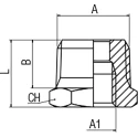 RS PRO Brass Pipe Fitting Straight Threaded Reducer Male BSPT 1/2 in to Female British Standard Parallel Pipe 176-1013