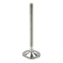Nu-Tech Engineering M12 60 mm Diameter Stainless Steel Adjustable Foot 1250 kg Static Load Capacity 10 ° Tilt Angle A200/008