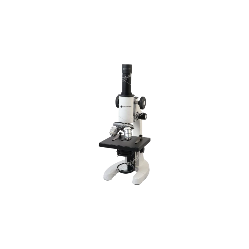 student-microscope-25395