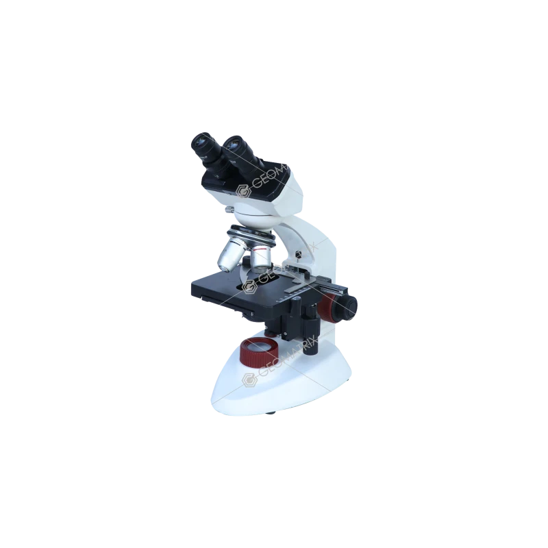 compound-binocular-microscope-25406
