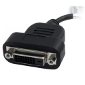 StarTech.com 1 Port Active DisplayPort to DVI-D Video Adapter 146 mm Cable Length DP2DVIS