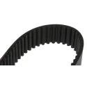 Contitech Heavy Duty Rubber Timing Belt 100 Teeth 800 mm Length 30 mm Width 8 mm Pitch 800 8M 30