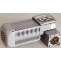 Mini Motor Planetary AC Geared Motor, 20 W, 3 Phase, 2-Pole, 230V, 400 V BCE2000