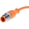 Lumberg Automation Sensor Actuator Cable Female 4 way Straight to Male 4 way Straight 28634 PRST 4-PRKT 4-07/2 M