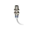Telemecanique Sensors Threaded Barrel Inductive Proximity Sensor M12 x 1 2-Wire 36V 100mA 4mm Detection XS612B3DBL2