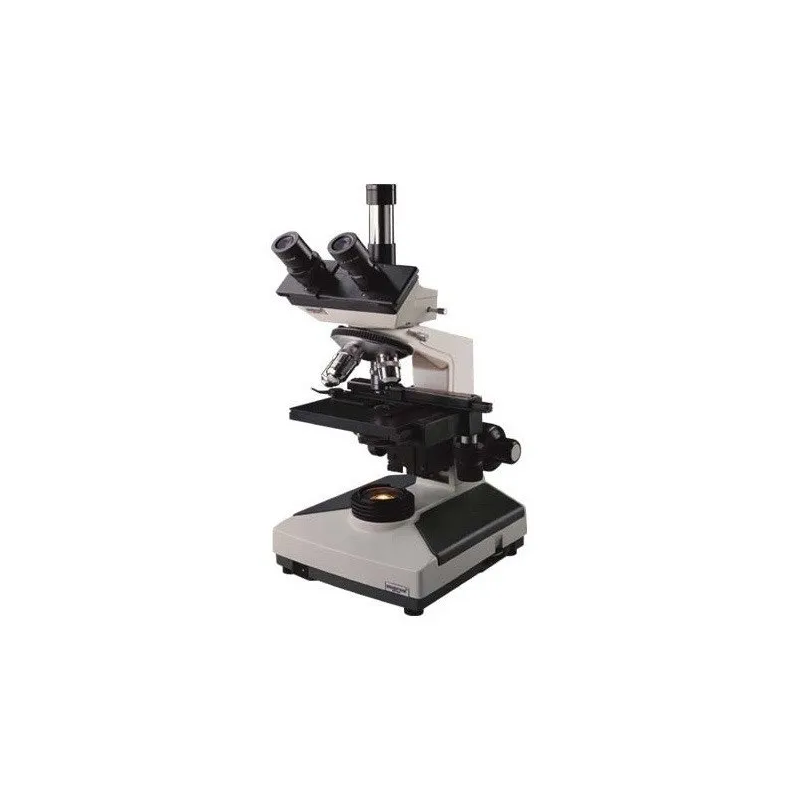 trinocular-microscope-22544