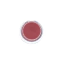 Schneider Electric Harmony Series Red Spring Return Push Button Head, 22 mm Cutout, IP66, IP67 ZB4BP4