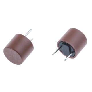 RS PRO Non-Resettable Fuse Radial 1A 250V AC Nylon Body Series TR5 611-0658