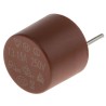 RS PRO Non-Resettable Fuse Radial 3.15A 250V AC Nylon Body TR5 Series 611-0377